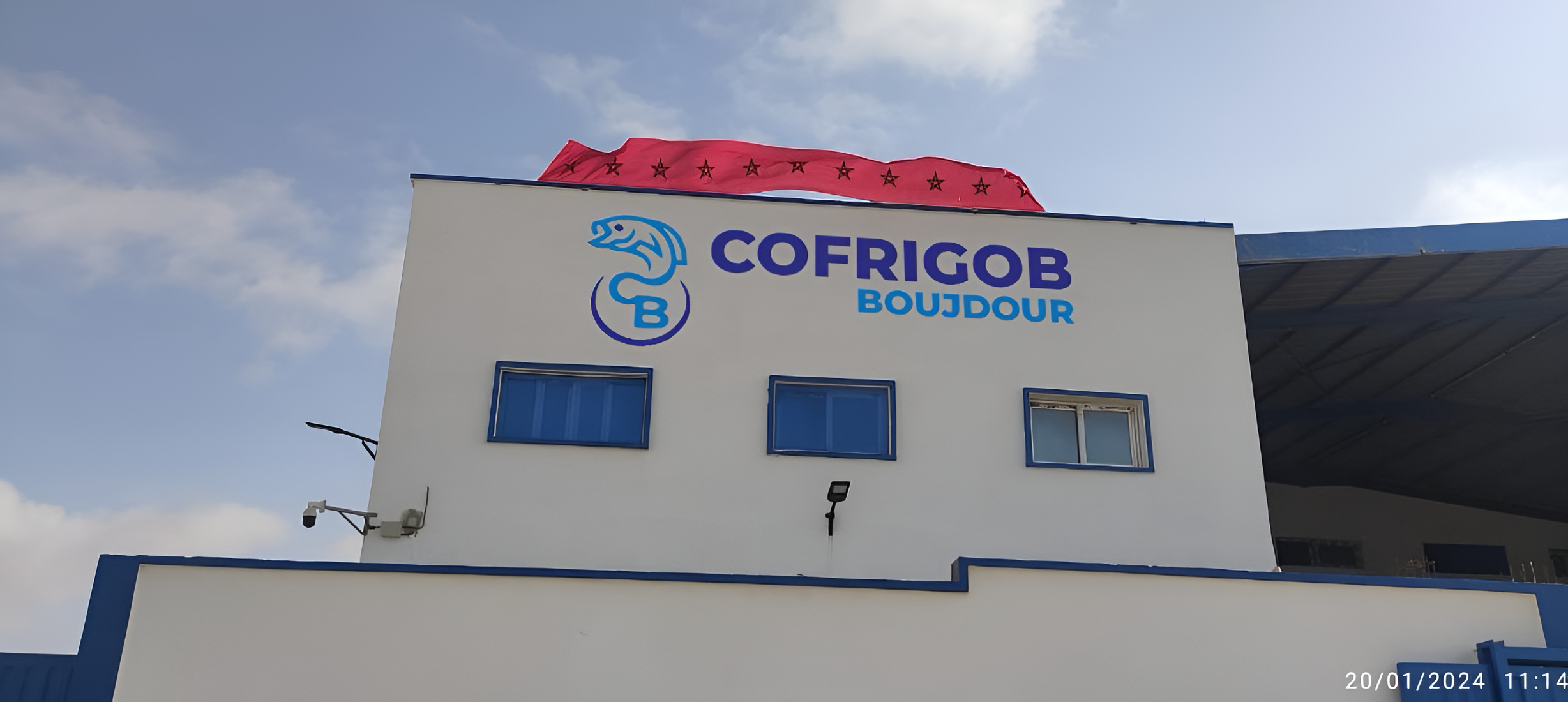 CofrigoB advanced seafood storage solutions